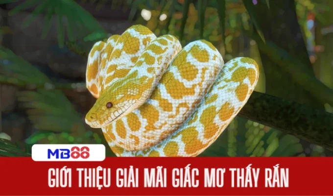 Giới thiệu về Nằm mơ thấy rắn đánh số gì
